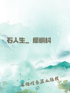 賭石人生