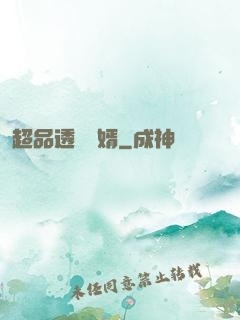 超品透視贅婿
