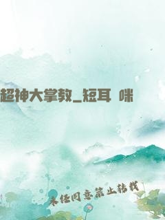 超神大掌教