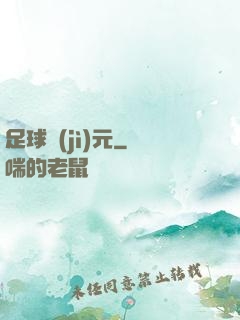 足球紀(jì)元