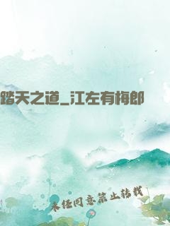 踏天之道