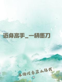 近身高手