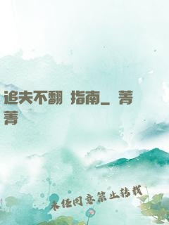 追夫不翻車指南