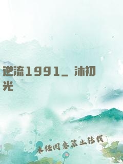 逆流1991