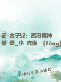 逆襲太子妃：高冷男神桀驁妻