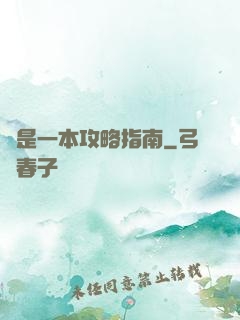 這是一本攻略指南