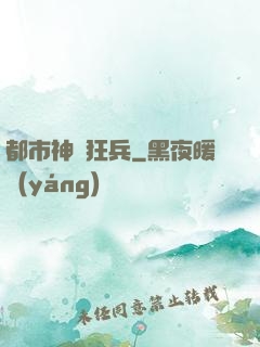都市神龍狂兵