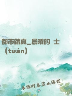 都市藏真