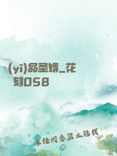 醫(yī)品圣婿