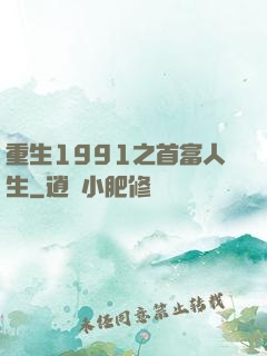 重生1991之首富人生