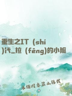 重生之IT時(shí)代