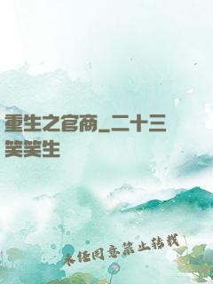 重生之官商