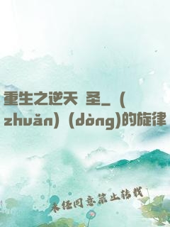 重生之逆天盜圣