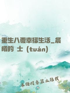 重生八零幸福生活