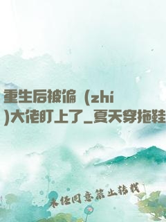 重生后被偏執(zhí)大佬盯上了