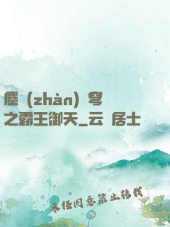 鏖戰(zhàn)蒼穹之霸王御天