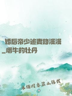 離婚后帝少追妻路漫漫