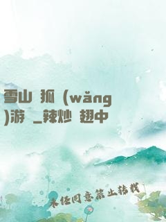 雪山飛狐網(wǎng)游錄