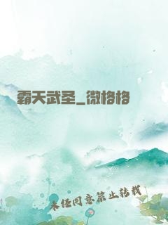 霸天武圣
