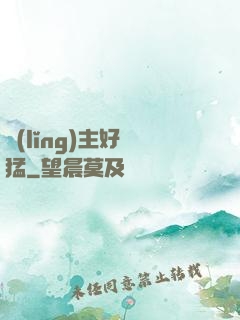 領(lǐng)主好兇猛