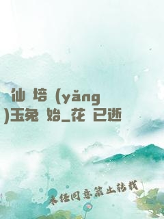 飛仙從培養(yǎng)玉兔開始