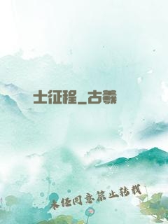 騎士征程