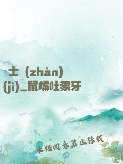 騎士戰(zhàn)紀(jì)