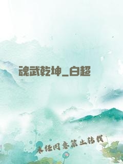 魂武乾坤