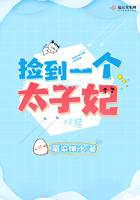 撿到一個(gè)太子妃