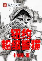 紐約超級警貓
